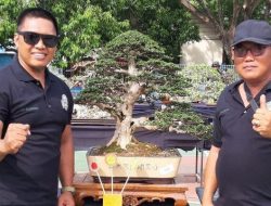 Kontes 603 Bonsai di Bulukumba, SBC Bone Raih Bendera Kategori Terbaik