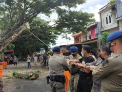Respon Cepat Brimob Bone Evakuasi Pohon Tumbang
