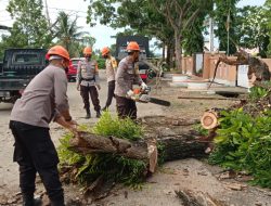 Kembali Beraksi, Tim SAR Brimob Bone Tebang Pohon Lapuk Yang Bahayakan Warga