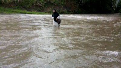 Menantang Maut Demi Sekolah, Guru Honorer Menyebrangi Aliran Deras Sungai