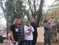 Brimob Bone Kawal Penertiban Lapak Liar di Terminal Petta Ponggawae