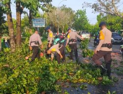 Timpa Rumah Warga, Respons Cepat Tim SAR Brimob Bone Evakuasi Pohon Tumbang