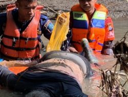 Kakek Mustafa Ditemukan Tim SAR Gabungan, Begini Kondisinya