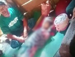 Kronologi Bocah Siswa SD Tewas Akibat Terlilit Ular Piton berukuran besar di rumah pondok milik neneknya, di Desa Lapole, Kecamatan Maligano