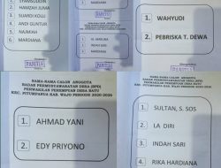 Bapan Wajo Geram, Kisruh PMD Desa Batu Menuai Kontroversi