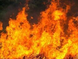 Kebakaran di Hertasning Perbatasan Gowa Makassar