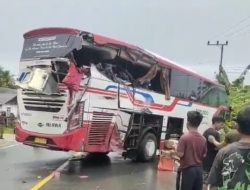 Bus Borlindo vs Towing Pengangkut Mobil di Pasangkayu, 4 Orang Meninggal Dunia 5 Orang Terluka