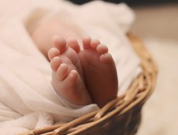 Heboh, Bayi Perempuan Cantik Ditemukan Warga dalam Kardus