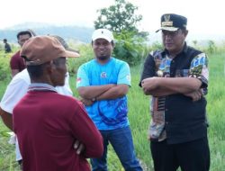 Pj Gubernur Sulbar Bahtiar “Kejar” Petani Bawang, “Gunung pun Kudaki”