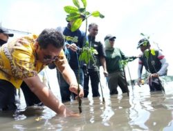 Penanaman Mangrove di Bebanga Hidupkan Wisata Alam, Munajib Ucapkan Terima Kasih Kepada Pj Gubernur