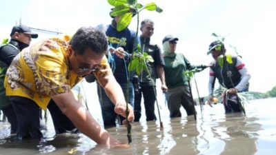 Penanaman Mangrove di Bebanga Hidupkan Wisata Alam, Munajib Ucapkan Terima Kasih Kepada Pj Gubernur