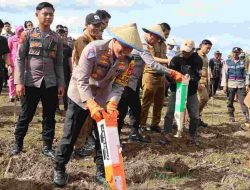 Kapolda Sulsel Didampingi Kapolres Bone Tinjau Lahan Produktif Sekaligus Tanam Jagung di Desa Bolli