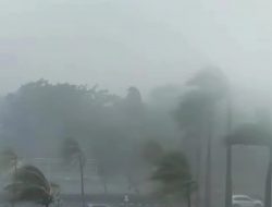 Cuaca Sulsel Hari Ini 29 Desember: Berawan Potensi Hujan, Luwu Diguyur Hujan Sore hingga Dini Hari