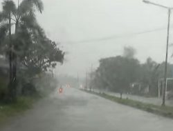 Cuaca Sulsel Hari Ini 11 Januari: Hujan Ringan Siang Hingga Malam Hari