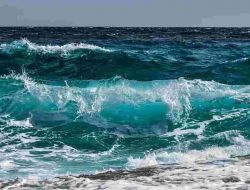 Cuaca Sulsel Hari Ini 14 Januari: Hujan di Siang/Sore Hari, Waspada Gelombang Laut Tinggi 1,5-2,5 m