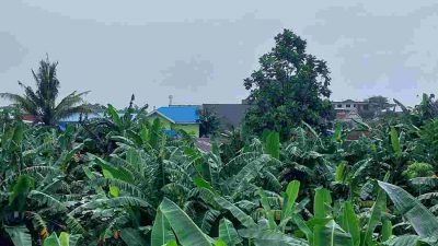 Cuaca Sulsel Hari Ini 20 Februari: Berawan, Berpotensi Hujan di Siang/Sore Hari