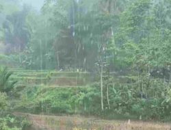 Cuaca Sulsel Hari Ini 29 Januari: Hujan Siang hingga Malam Hari