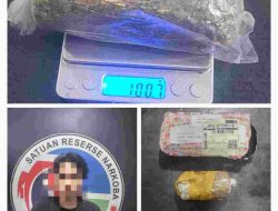 Miliki 100 Gram Ganja, Warga Jalan Lure Diamankan Satres Narkoba Polres Bone