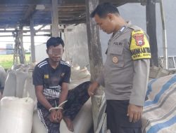 Tertangkap Basah, Pria di Watampone Curi Gabah Milik Warga