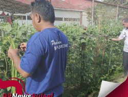 Dibalik Jeruji Besi Lapas Parepare WBP Diperdayakan Untuk Meningkatkan Ketahanan Pangan Mendukung Asta Cita Presiden RI.