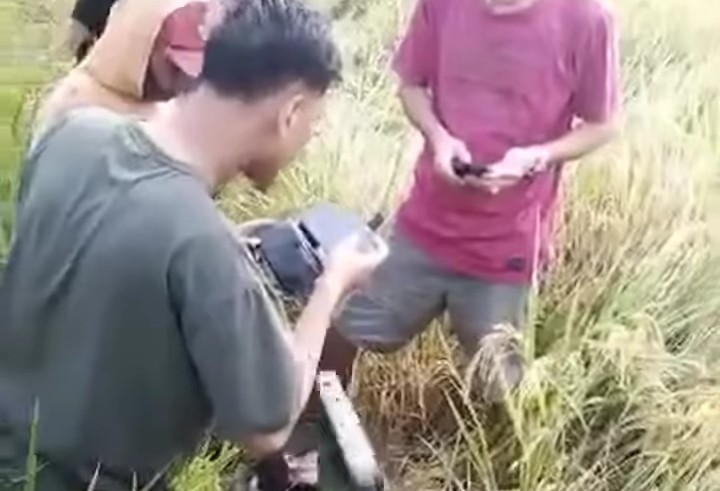 Mayat pematang sawah pinrang