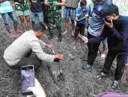 Penemuan Bayi Terkubur Gegerkan Warga Bone, Polisi Ungkap Pelaku Hanya Dalam Jam