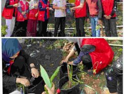 Mahasiswa KKN Tematik Unhas 114 di Kelurahan Bontotangnga Jeneponto Ajak Masyarakat Budidaya TOGA di Pekarangan Rumah