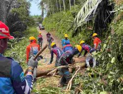 PLN ULP Patangkai Laksanakan PTT di Mattaro Puli untuk Jaga Keandalan Pasokan Listrik