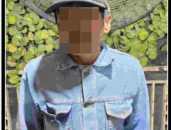Satreskrim Polres Bone Amankan Pelaku Pencurian di Dua Boccoe, Barang Bukti HP Disita