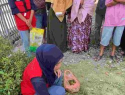 Mahasiswa KKN Unhas Gelombang 115 di Kelurahan Pajalele Sidrap Edukasi Dan Implementasi Lubang Resapan Biopori