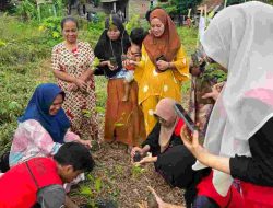 Mahasiswa KKN Unhas 115 Gelar Penyuluhan Penanaman Bibit di Desa Bonto Tiro Bantaeng